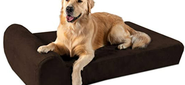 Large dogs beds