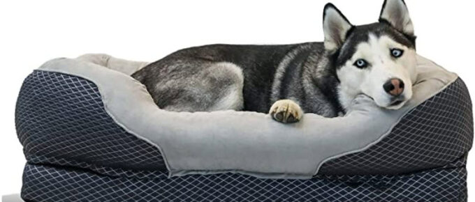 Orthopedic dog bed