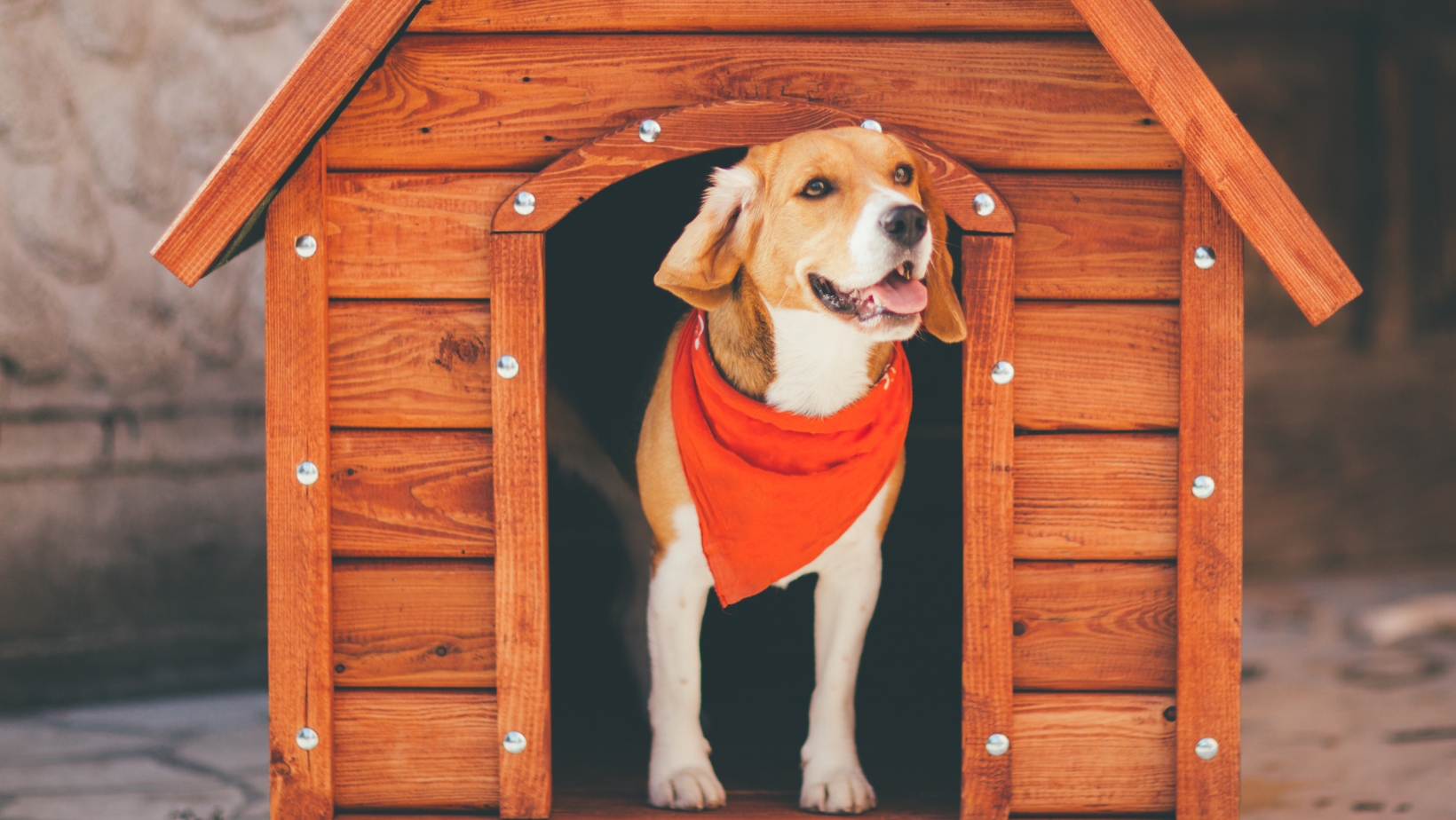 step-by-step-dog-house-plans-in-pdf-for-beginners